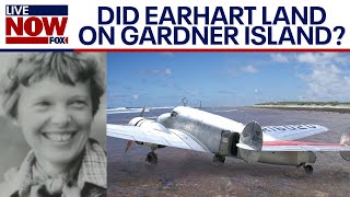 Did Amelia Earhart land on Gardner Island TIGHAR explains hypothesis indepth  LiveNOW from FOX [upl. by Allecsirp163]