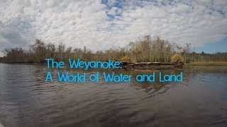 Virginias First People The Weyanoke—A World of Water and Land [upl. by Brenton562]