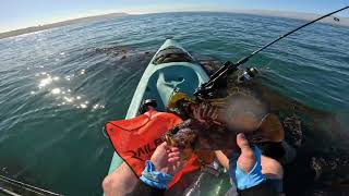 First Time Kayak Fishing for Rockfish [upl. by Cesaro977]