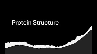 Amino Acids and Protein Structure [upl. by Sybila162]