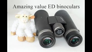 Levenhuk Nitro 8x42 ED Binoculars Review The Perfect Pair for Any Adventure [upl. by Auqinot]