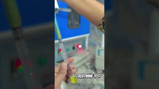 Serum creatinine test kidney function test dmlt labtechnologist medico labtechnician prayagraj [upl. by Chrisy220]