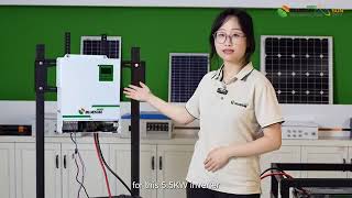 55KW Off grid storage system for home use greenenergy energystorage solarenergy [upl. by Dowell421]