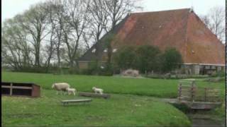 Friesland Holland Farm Visit [upl. by Leftwich]