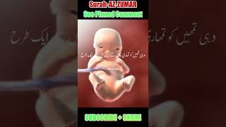 Quran about Human development shorts islamicstatus quran [upl. by Ahsim]