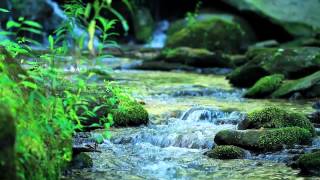 Nature Sounds Without Music  10Minutes of a Mountain Stream [upl. by Min177]