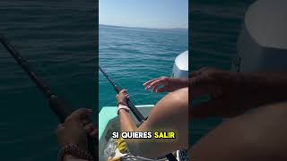 Pesca de PARGO🎣 con CARNADA gigante 😮 lapazbcs fishing [upl. by Esther]