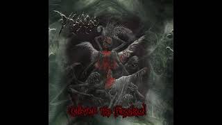 Disgorge USA  Consume The Forsaken Full Album [upl. by Bearnard530]