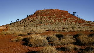 Landscapes amp Wildflowers of Outback Queensland  with Botanical Guide Ross McKinnon [upl. by Anirba]