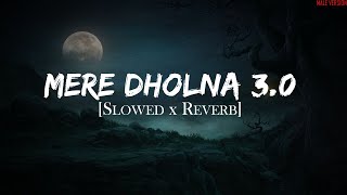 Mere Dholna 30 Slowed And Reverb  Sonu Nigam  Bhool Bhulaiyaa 3  Patar Lofi [upl. by Thanasi444]