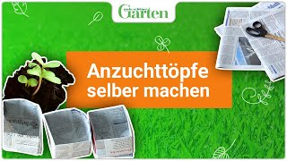 Anzuchttöpfe aus Zeitungspapier selber machen  Nachhaltige Gartenpraxis [upl. by Murry]