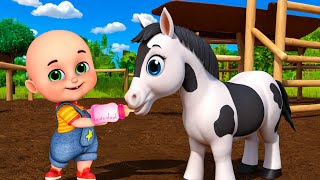 Baby Horse Song New Compilation  Animals Farm Old MacDonald  Nursery Rhymes amp Kids Songs Baby Bobo [upl. by Yornek93]