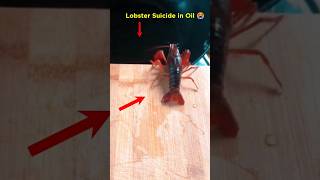 Lobster Suicide 🦞 😭 l Why do People eat live Lobsters l lobster facts shorts [upl. by Yim]