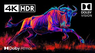 Dolby Atmos  BEST OF 4K HDR 60 FPS Dolby Vision 4K Video [upl. by Ynnaffit]