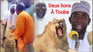 🔴DIRECT  KHOUTBA CHEIKH AHMADOU RAFAHI MBACKE [upl. by Eiramanin]