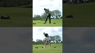 Slowing Down Rory McIlroy amp Nelly Kordas Swings golf golfswing taylormade shorts [upl. by Terrena197]