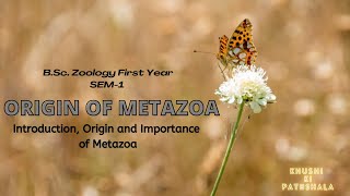 Origin of Metazoan  BSc Zoology Sem 1  Chapter 4  Full Chapter Explained [upl. by Ecnatsnok]