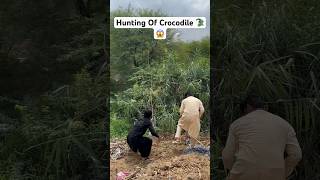 Hunting Of Crocodile 🐊😱 shikarigaming huntting crocodileentertainment [upl. by Yrekaz]