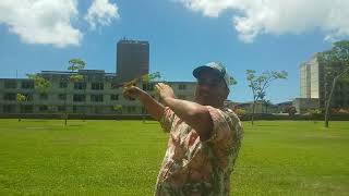 Throwing Boomerangs in Hawaii  Freeflyght Boomerangs  Cygnus [upl. by Misty172]