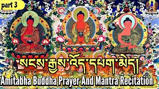 ☸Amitabha Buddha Prayer And Mantra RecitationPart 3སངས་རྒྱས་འོད་དཔག་མེདSadhana Prayer Practice [upl. by Kinnon]