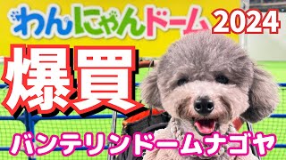 【わんにゃんドーム2024名古屋】今年はすご過ぎた！新商品爆買い inバンテリンドームナゴヤ 後編💗【犬イベント・爆買い無料サンプル】 [upl. by Aicined]