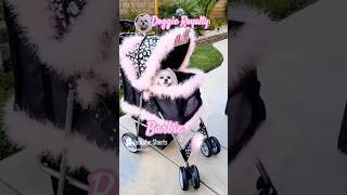 Royal Treatment Barbies Dog Stroller Doggie Royalty [upl. by Rovner]