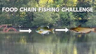 FOOD CHAIN FISHING CHALLENGE Big Channel Cat caught [upl. by Nnylrefinnej]