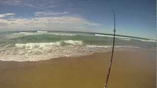 Soft Plastic fishing on South Straddie for Flathead and Bream [upl. by Pasho]