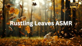 Rustling Leaves ASMR  Rustling Leaves Sound Effect  Relaxing Rustling Leaves in a Forest [upl. by Sama]