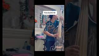 BAJOLOCHE vs TOLOLOCHE😱 ¿Cuál te Gusta Más [upl. by Enitnelav]