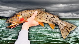 72 Hour Fishing Strawberry Reservoir for Big Cutthroat Trout amp Rainbow Trout [upl. by Isleana]