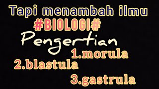 vlog tapi bermanfaatbiologi  pengertian Morula blastula gastrula [upl. by Glaser]