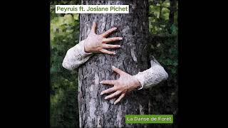 Peyruis feat Josiane Pichet  La Danse de Forêt [upl. by Reisch]