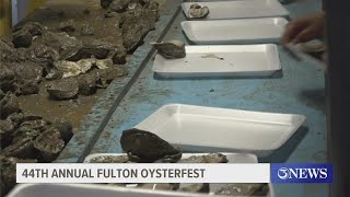 Fulton Oysterfest sees large turnout [upl. by Thirion]