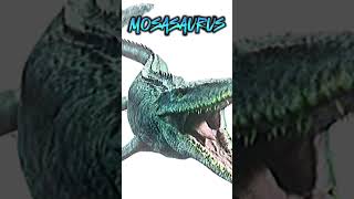 Mosasaurus sounds [upl. by Accissej]