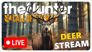 Call of the Wild Stream Hunting ever single deer species in the game [upl. by Bijan]