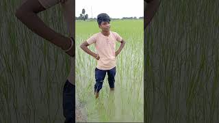 Ichchadhari nag aur nagin 😂🤣😂 v4b comedyvideos funny [upl. by Nivlen]