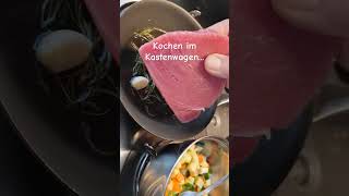 Kochen im Kastenwagen Camper Pössl urlaub kastenwagen pössl automobile fun überwintern [upl. by Gadmann]