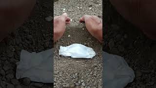 A funeral procession frog🐸🥀frog wildlife shorts viralvideo [upl. by Daryle]