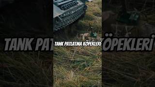 Sovyetlerin Tank Patlatma Köpekleri shorts viralshorts [upl. by Ralfston197]