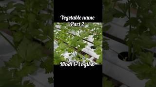 vegetable name I vegetables name with picture l names of vegetables [upl. by Niveb]