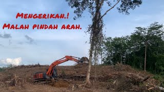 STEKING LAHAN SAWIT ‼️ SALAH SEDIKIT NYAWA MELAYANG [upl. by Yltnerb440]