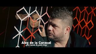 Alex de la Caracal  Am nevoie de putin timp  oficial video 2019 [upl. by Nal429]