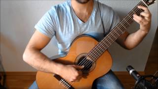 The Bannered Mare  The Elder Scrolls V Skyrim on Guitar [upl. by Pero]