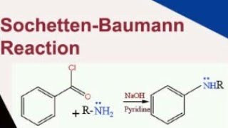 🔴SchottenBaumann ReactionSchotten baumann reaction MechanismTrick to learn Schotten baumann RXN [upl. by Aroda42]