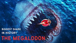 NEW MEGALODON DRONE FOOTAGE  real or fake [upl. by Mungam]