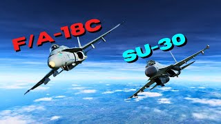 SU30 Vs FA18C  Intense Dogfight  DCS World dcsworld [upl. by Rosemare655]