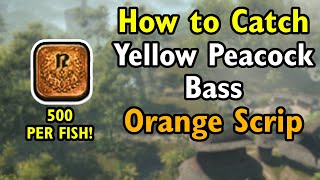 Yellow Peacock Bass  Orange Gathering Scrip  FF14 Dawntrail [upl. by Idyak]