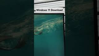 How to download windows 11 iso file trending youtube [upl. by Lothair]