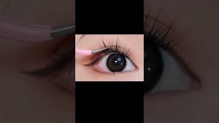 How to apply false Lashes ✨️hackeyelinerforbegi nners shortsytshorts [upl. by Earla]